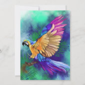 Mooie Kleurrijke Papegaai - Gefeliciteerd - (Achterkant)