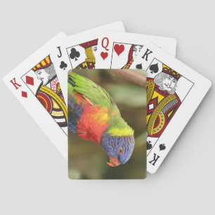 Mooie, kleurrijke papegaai pokerkaarten