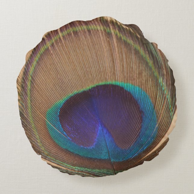 Mooie, kleurrijke proefronde rond kussen (Achterkant)