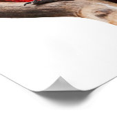 Mooie, kleurrijke Scarlet Macaw Parrot Bird Poster (Hoek)