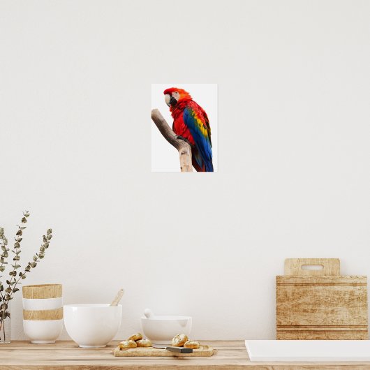 Mooie, kleurrijke Scarlet Macaw Parrot Bird Poster (Keuken)