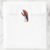 Mooie, kleurrijke Scarlet Macaw Parrot Bird Vierkante Sticker (Tas)
