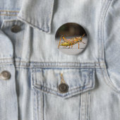 Mooie kleurrijke sprinkhaan in close-up ronde button 5,7 cm (In situ)