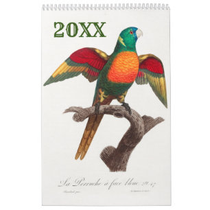 Mooie, kleurrijke tropische parrots kalender