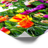 Mooie, kleurrijke Tulps Artsy Floral Poster (Hoek)