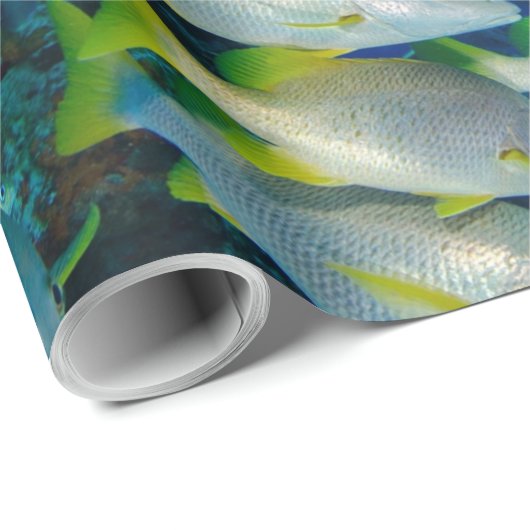 Mooie, kleurrijke vissen | Beste geschenk voor het Cadeaupapier (Rol Hoek)