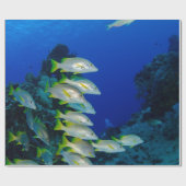 Mooie, kleurrijke vissen | Beste geschenk voor het Cadeaupapier (Vlak)