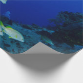 Mooie, kleurrijke vissen | Beste geschenk voor het Cadeaupapier (Hoek)