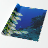 Mooie, kleurrijke vissen | Beste geschenk voor het Cadeaupapier (Uitgerold)