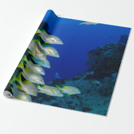 Mooie, kleurrijke vissen | Beste geschenk voor het Cadeaupapier