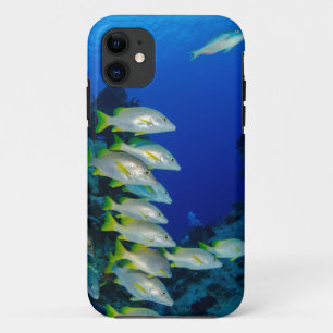 Mooie, kleurrijke vissen Beste geschenk voor het Case-Mate iPhone Case