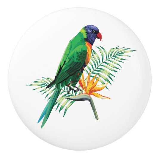 Mooie kleurrijke vogel en bloemen keramische knop (Voorkant)