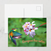 Mooie, kleurrijke vogelbloemen briefkaart (Voorkant / Achterkant)