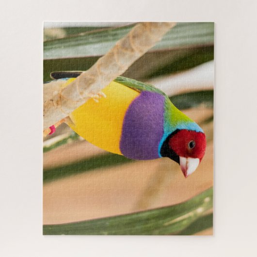 Mooie, kleurrijke Zebra Finch Bird Legpuzzel (Verticaal)