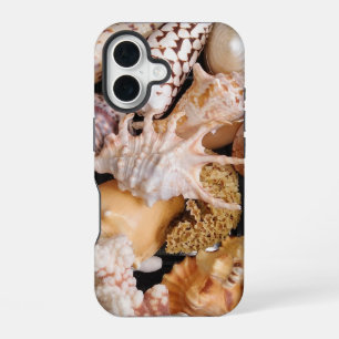 Mooie, Kleurrijke, Zee Schelpen, Strand Thema iPhone 16 Hoesje