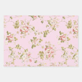 Mooie klimrozen bloementuin inpakpapier vel (Voorkant)
