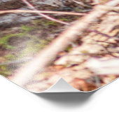 Mooie koeien foto afdruk (Hoek)