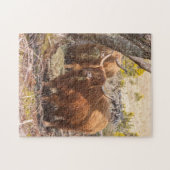 Mooie koeien legpuzzel (Horizontaal)