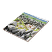 Mooie koeien tegeltje (Zijkant)