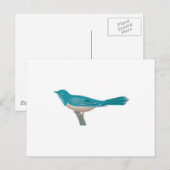 mooie koekoek vogel briefkaart (Voorkant / Achterkant)