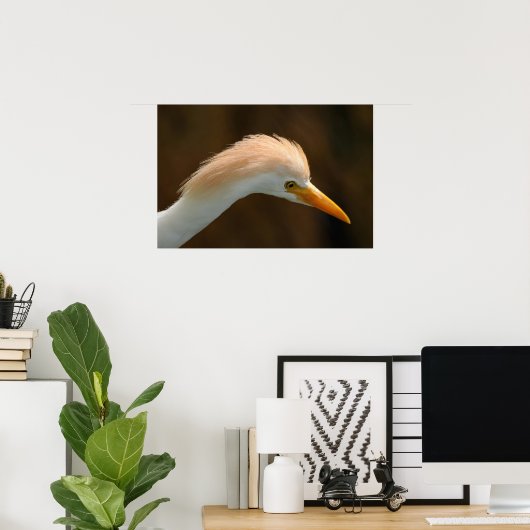 Mooie koereiger vogel poster (Thuiskantoor)