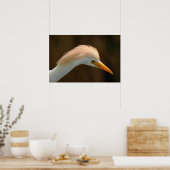 Mooie koereiger vogel poster (Keuken)