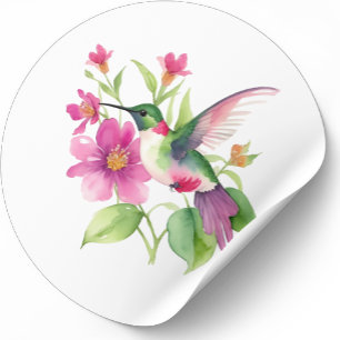Mooie kolibrie bloemen illustratie ronde sticker