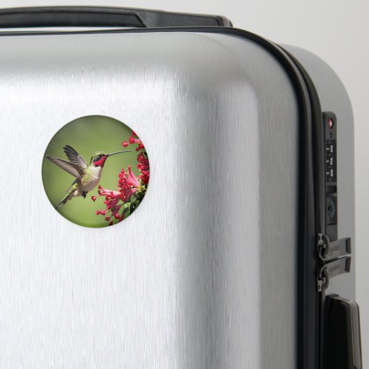Mooie Kolibrie Magneet (Insitu (bagage))
