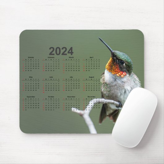 Mooie kolibrie op tak 2024 Kalender Muismat (Met muis)