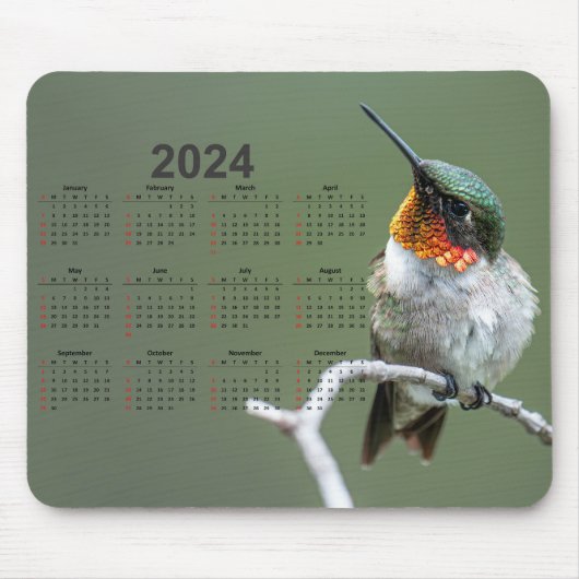 Mooie kolibrie op tak 2024 Kalender Muismat (Voorkant)