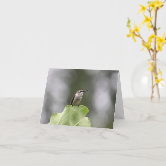 Mooie kolibrie Wenskaart Kaart (Gele Bloem)