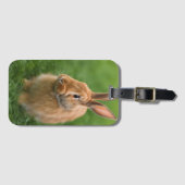 Mooie konijn bagagelabel (Voorkant (horizontaal))