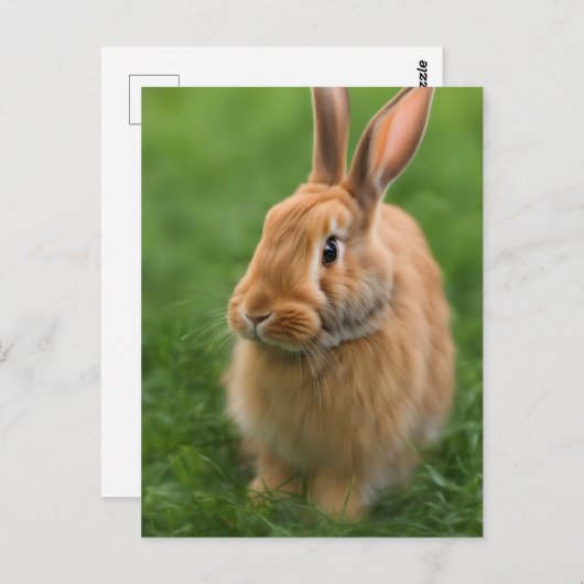 Mooie konijn briefkaart (Voorkant / Achterkant)