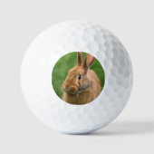 Mooie konijn golfballen (Voorkant)