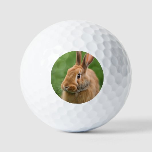 Mooie konijn golfballen (Voorkant)