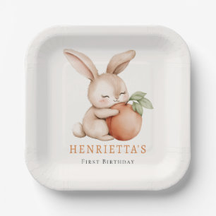 Mooie Konijn Knuffel Perzik Eerste Verjaardag Meis Papieren Bordje