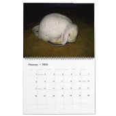 mooie konijnen kalender (Feb 2026)