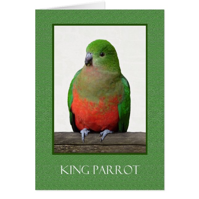 Mooie Koning Parrot, Australische vogel (Voorkant)