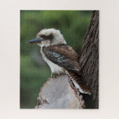 Mooie Kookaburra Bird Australia, 520 stuks Legpuzzel (Verticaal)
