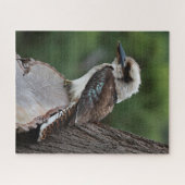 Mooie Kookaburra Bird Australia, 520 stuks Legpuzzel (Horizontaal)