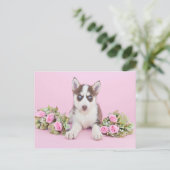 Mooie koppen met roze rozen briefkaart (Staand voorkant)