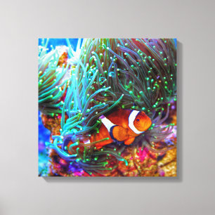 Mooie koraalrif met gekloonde vis canvas afdruk