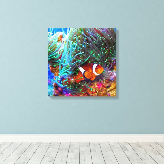 Mooie koraalrif met gekloonde vis canvas afdruk (Insitu (Houten vloer))