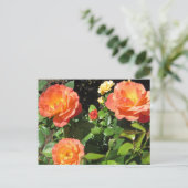Mooie koraalRozen Briefkaart (Staand voorkant)