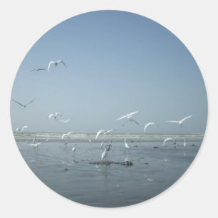 Mooie Kraanvogels Vliegen Over Water Natuurlijke B Ronde Sticker
