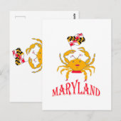 Mooie krab in Maryland Briefkaart (Voorkant / Achterkant)