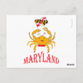 Mooie krab in Maryland Briefkaart (Achterkant)