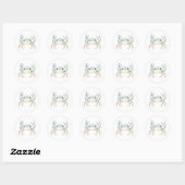 Mooie Krab Stickers (Vel)