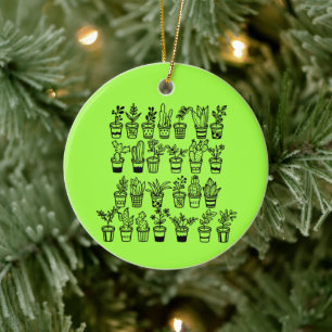 Mooie krabbelplanten in potten keramisch ornament