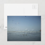 Mooie kranen vliegen over het ballet van Water Nat Briefkaart (Voorkant / Achterkant)